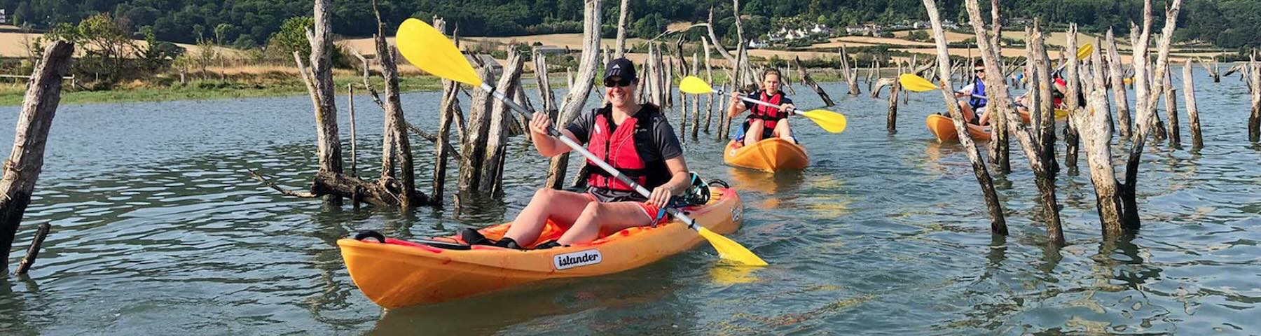 Seaside kayakers paddle between the trunks or trees near Porlock.