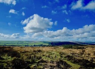 Rows of fluffy white clouds skudding across an Exmoor sky above a panoramic moorland landscape of heather, bracken and stunted, wind-blown trees.