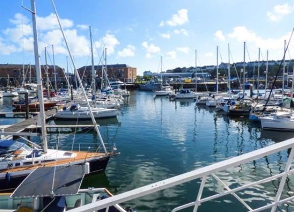 A large marina full of rows of yachts.