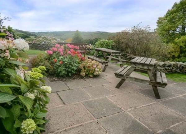 A paved BBQ terrace with flowering Hydrangea and picnic benches
