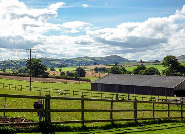 A far-reaching across fenced in, open fields to Shropshire Hills on the horizon.