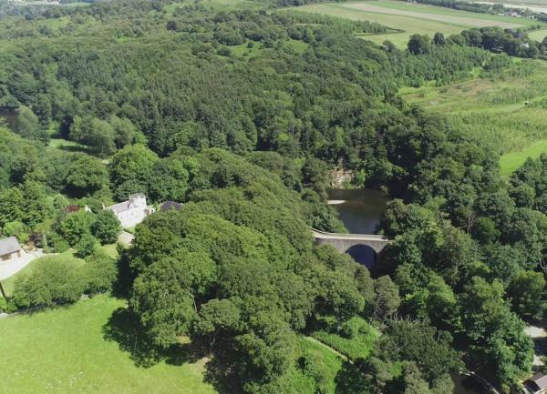 Aerial view of a cottage surrounded by woodland.
