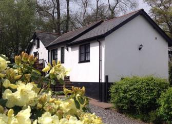 Exterior of a single-storey Exmoor holiday cottage overlooking a garden full of mature shrubs and trees.