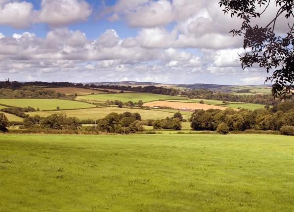 Panoramic Exmoor views for tree-lined fields.