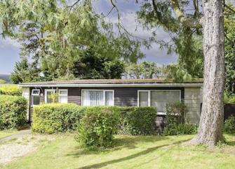 Exterior of a wooden holiday lodge in Watchet, surrounded by lawns,mature pine tree and beach hedges.