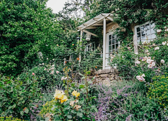 A cottagw window and French ?Doors are semi hidden by a flowering mass of climbing roses.