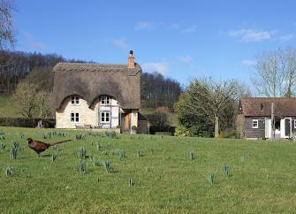 A detached and thatched village cottage overlooks a village green in Worcestershire.