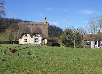 A thatched cottage overlooks a large village green.