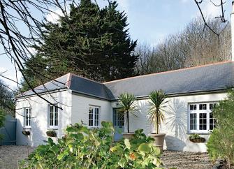 L-Shaped bungalow with large potted palms and mature shrubs on its terrace.