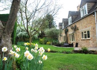Exterior of a Cotswold honeystone cottage overlooking a lawn with daffodils in bloom.