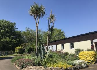 Exterior of a single storey holiday lodge overlooking s garden with palm trees.