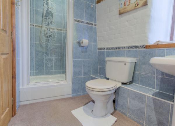 Tiled bathroom with shower, washbasin and WC.