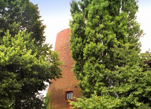 Bay trees in posts guard the entrance to a drive leading to a restore windmill.