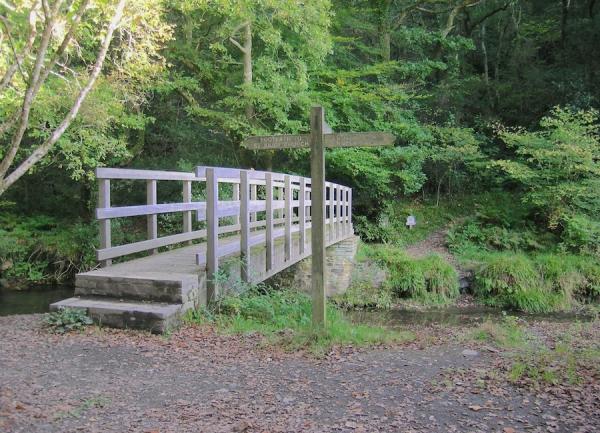 Wooden footbridge across a small stream into a wood.