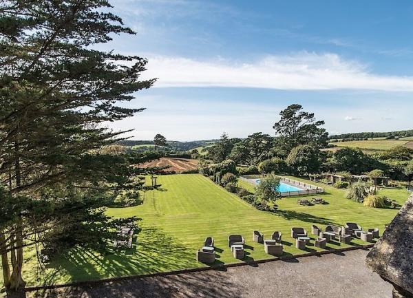 A view of the garden with a lawn, outdoor pool, trees and shrubs.