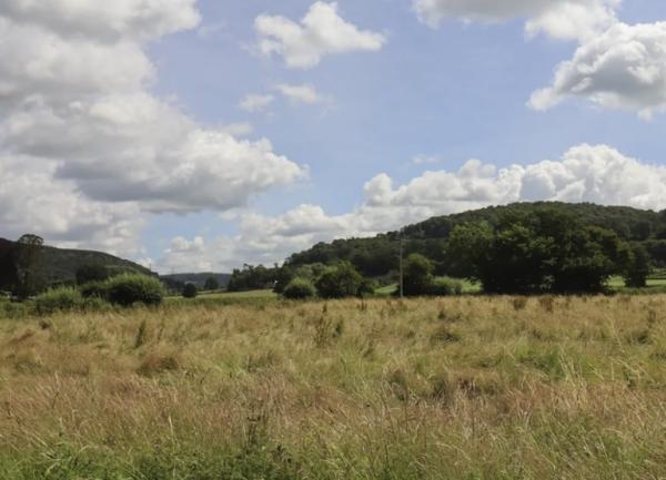 A rural view of fields and woods in the Wye /Valley.