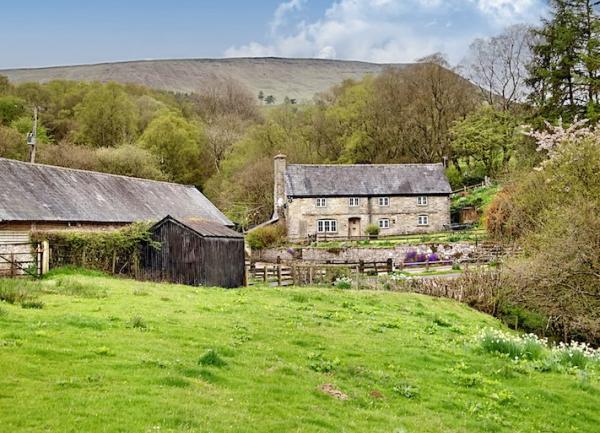 A rural view of a farmhouse overlooking fields with spring flowers.