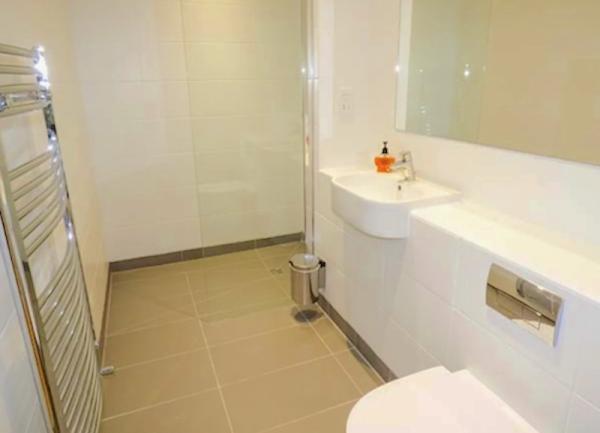 A bathroom with a bath with an overhead shower, WC and heated towel rail.