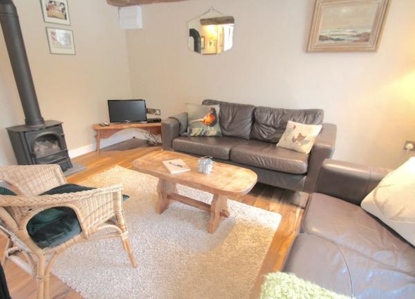 Lounge with a wicker chair, woodburner and 2 sofas.