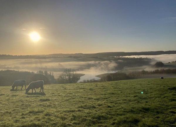 Wintere mist and a low sun over a reservoir.