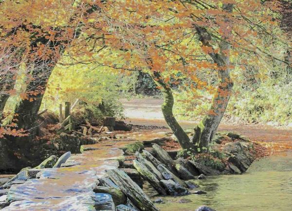 Prehistoric clapper bridge crosses a tree-lined river.