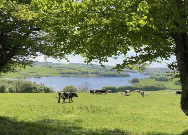 View of Wimbleball Reservoir in the Exmoor National Park.