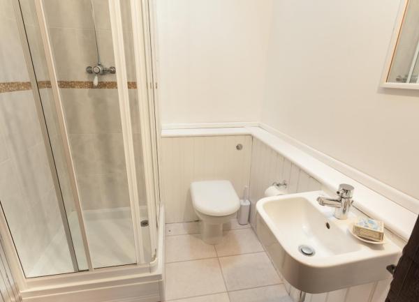 Shower room with WC and washbasin.