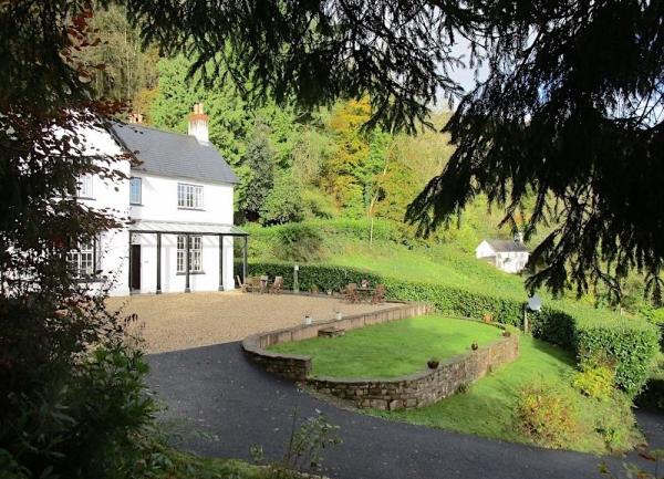 A terraced hillside garden and drive.