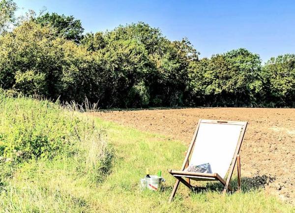 Deckchair standing in an open field.