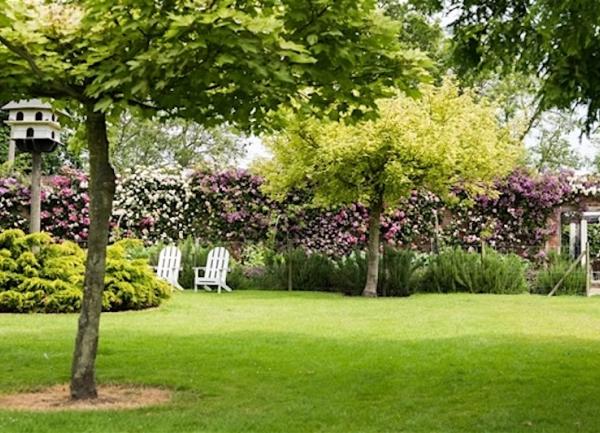 Lawn shaded by trees.