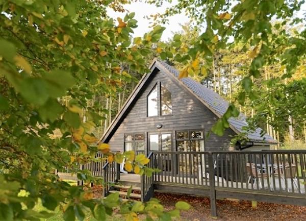 Front exterior of pine eco-lodge in a pine clearing.