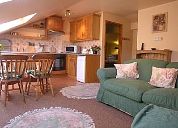 Open plan living space with sofas, dining table and kitchen.