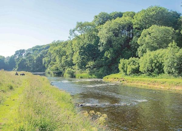 Trees line the far bank of a river with shallow rapids.