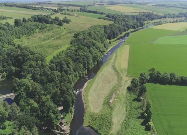 Aerial view of trees lining a riverbank.