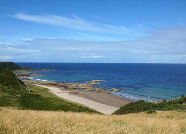 Hilltop view of a sandy beach at low tide.