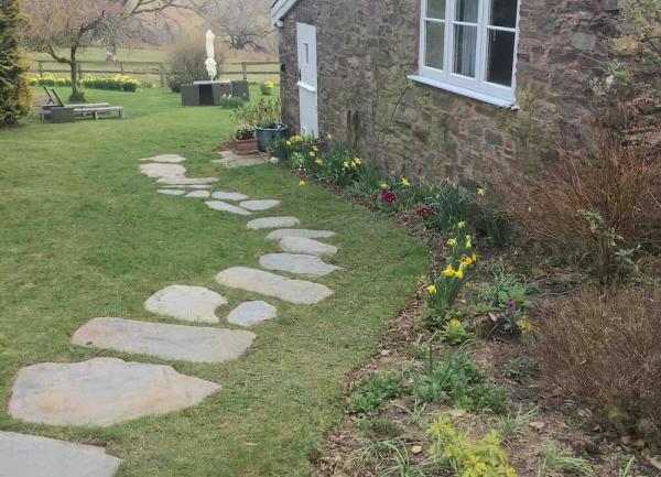 Garden lawn with stepping stone path through it.