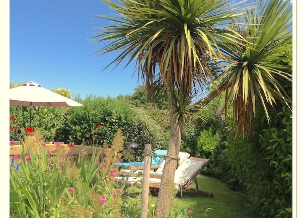 Palm trees and sun loungers in a garden.