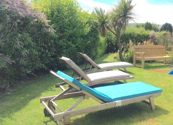 Three sun loungers and park bench on the lawn.