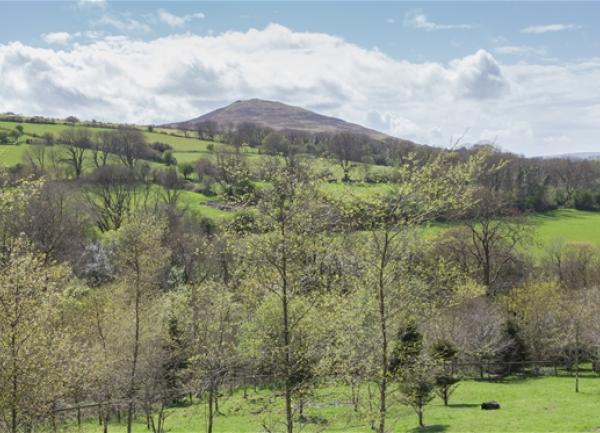 Rural views across fields and tree to a distant mountain