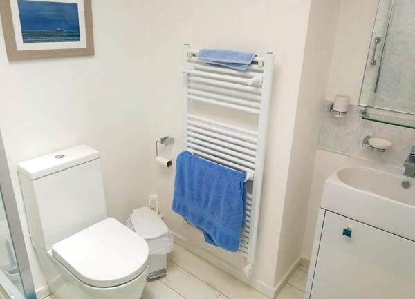 Bathroom with shower, washbasin, toilet and heated towel rail.
