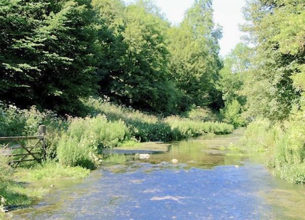 A calm river flows through tree-lined banks.