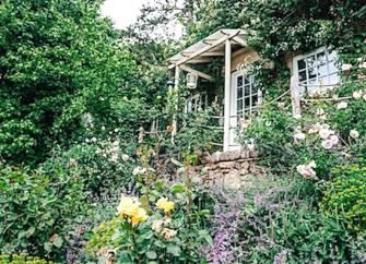 A cottage window and French doors are semi-hidden by a flowering mass of climbing roses.