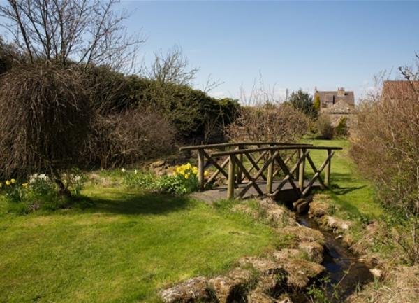 A rustic wooden bridge over a stream in a tree-lined garden.