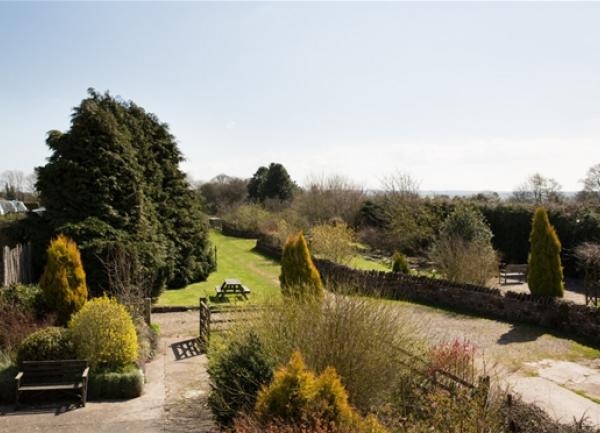 A large garden with a picnic/games lawn patios, trees and shrubs.