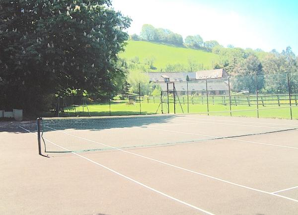 A tennis court partly shaded by a tall tree, with rural views.