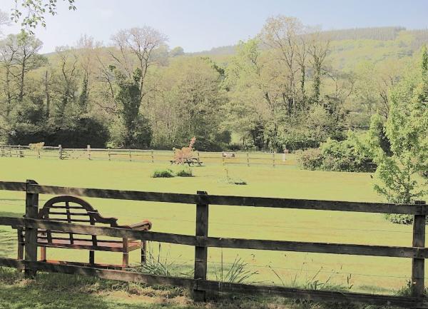 A park bench overlooks a large grass playing field lined by tall trees.