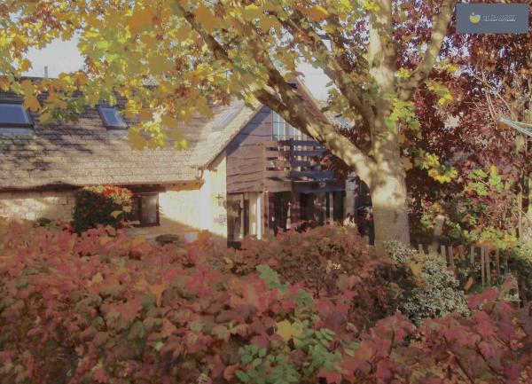  Rear garden  with a tree and shrubs in full autumn colours.