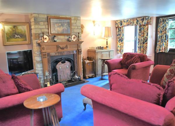 Lounge with fireplace, TV and 3 armchairs.