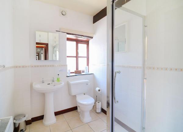 A bathroom with a shower, washbasin and WC.