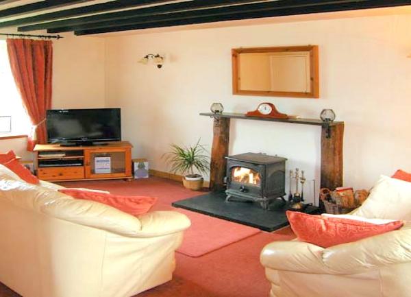 A lounge with a sofa and armchair facing a TV and wood burner.